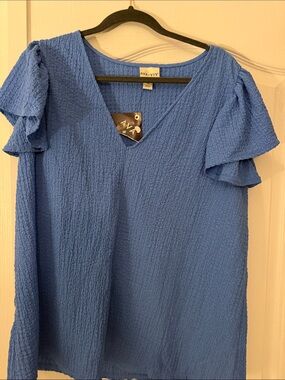 Ava & Viv Blue Textured V-Neck Ruffle Sleeve Blouse Size 1X NWT